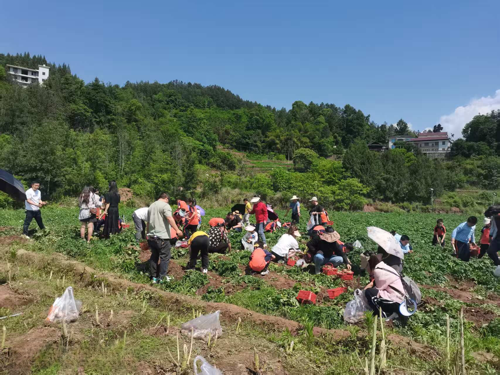 刘家坪白族乡：“研学+农耕”点亮学生“第二课堂”