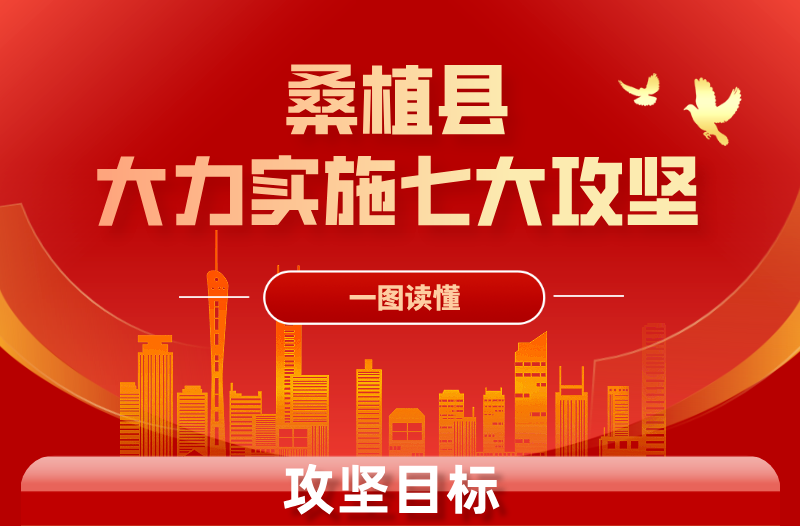 一图读懂｜桑植县大力实施“七大攻坚”
