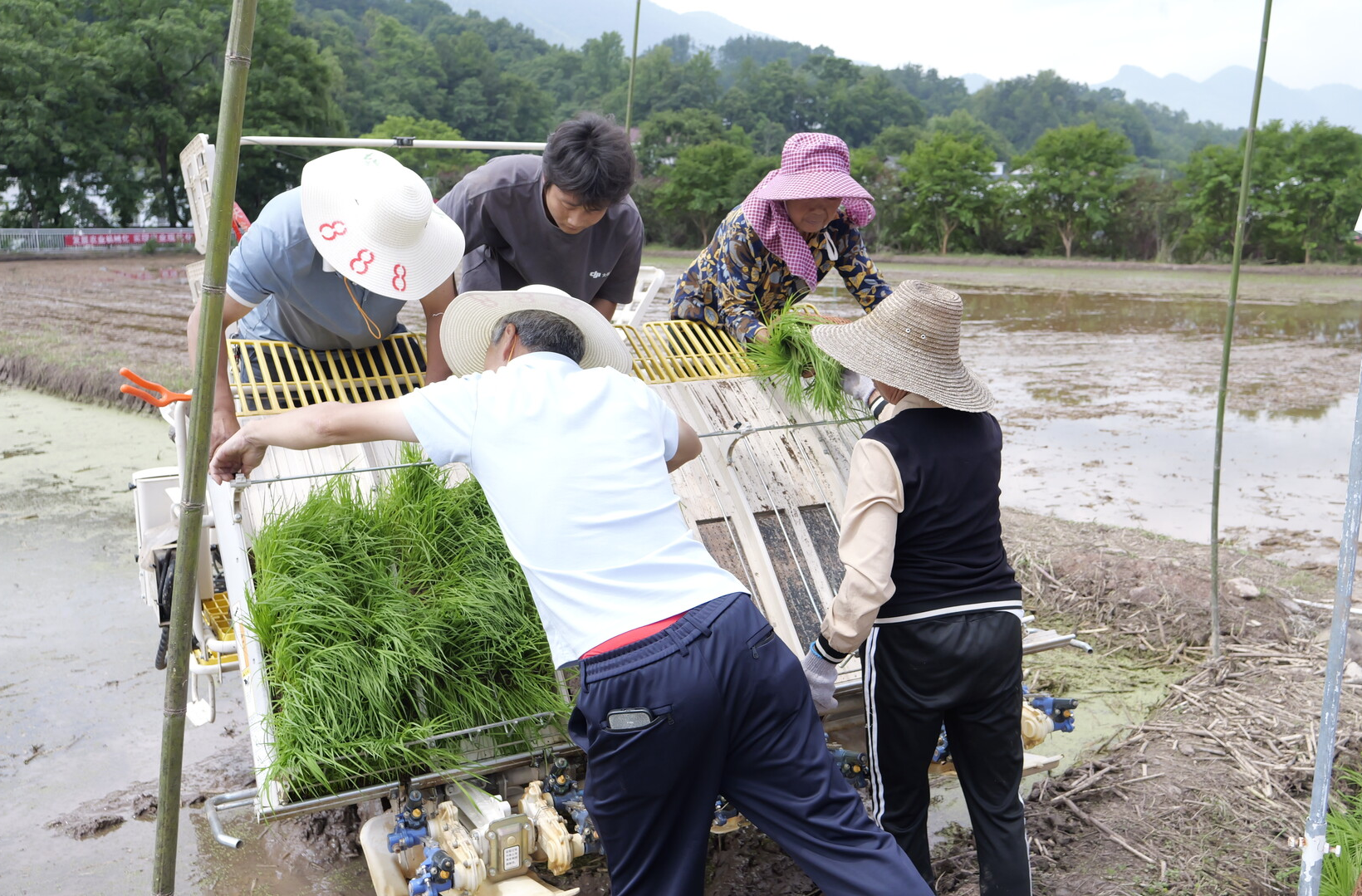 桑植縣推進(jìn)農(nóng)機(jī)應(yīng)用 力促農(nóng)民增產(chǎn)增收