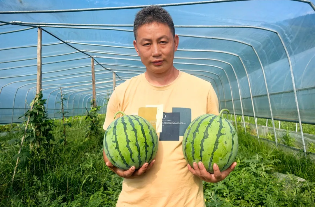 新农人阳桂湖：从单一种植到多元发展 开启“甜蜜配送”新模式