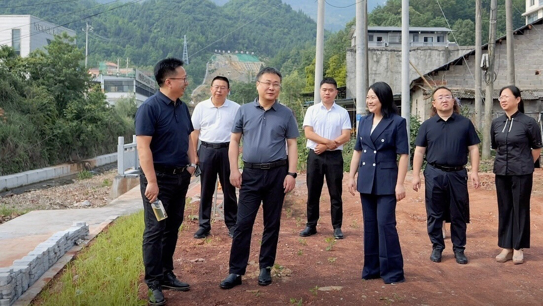 曹飞到澧源镇调研