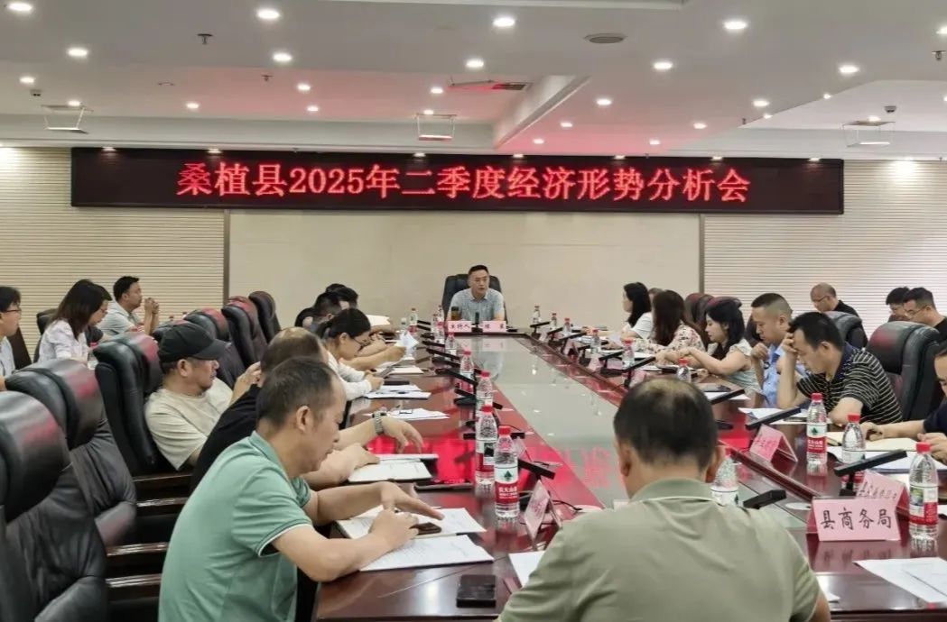桑植县召开2025年二季度经济形势分析会 全力冲刺“双过半”目标任务