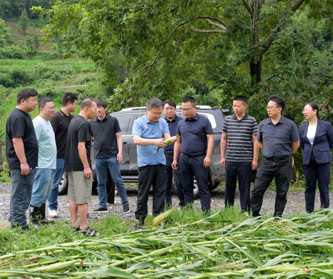 曹飞到乡镇调研指导查灾核灾工作