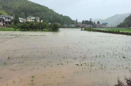 馬合口白族鄉(xiāng)：汛后排查守家園 重建希望暖民心
