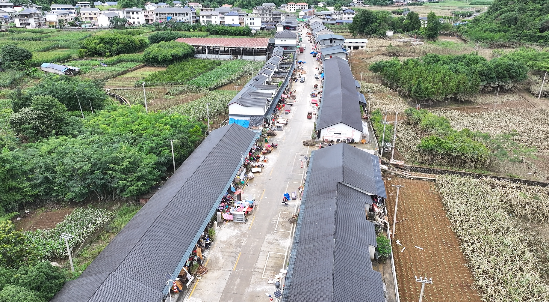 洪水退去，希望升起！桑植八大公山镇积极推进灾后重建