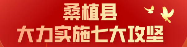 七大攻坚