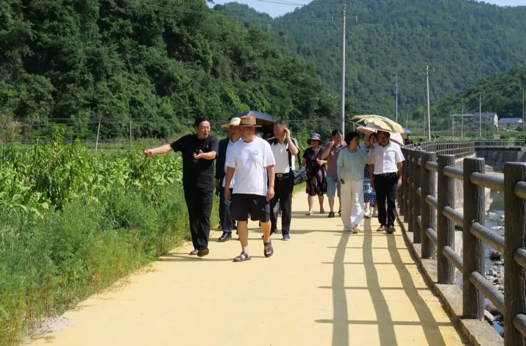 桑植县：文艺采风活动走进金龙村，用文艺作品展现乡村振兴鲜活故事
