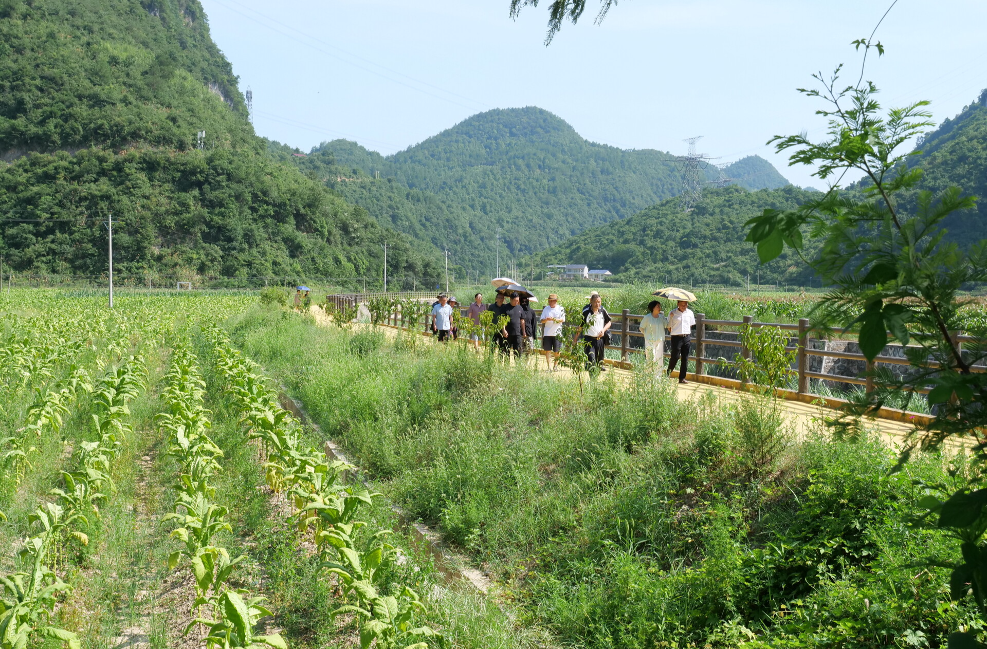 “金龙起舞·田园牧歌”澧源书香读书会暨文艺采风活动走进金龙村