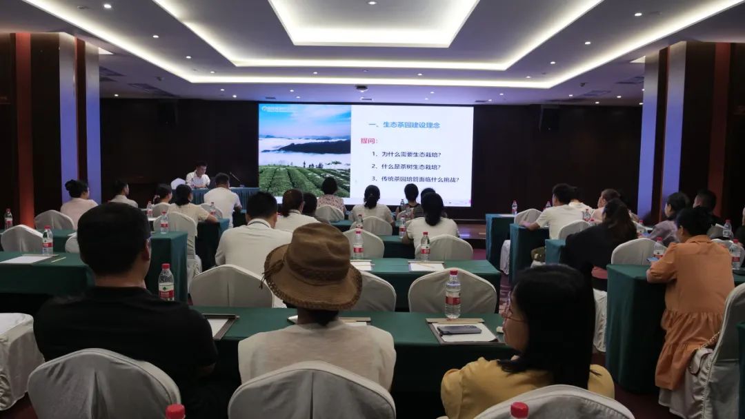 桑植白茶产业升级再发力！乡村振兴培训班开班