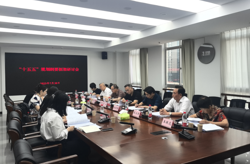 桑植县召开“十五五”规划纲要框架研讨会议