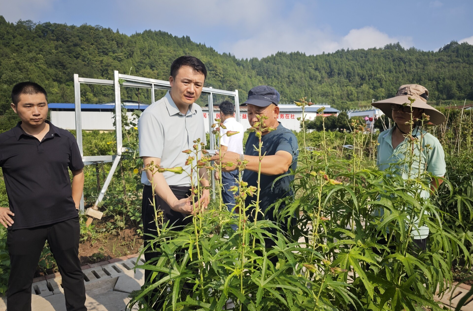 長沙縣駐桑植幫扶工作組赴空殼樹鄉(xiāng)調(diào)研 共話鄉(xiāng)村振興新路徑