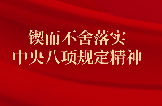 锲而不舍落实中央八项规定精神丨动真碰硬推动真查实改