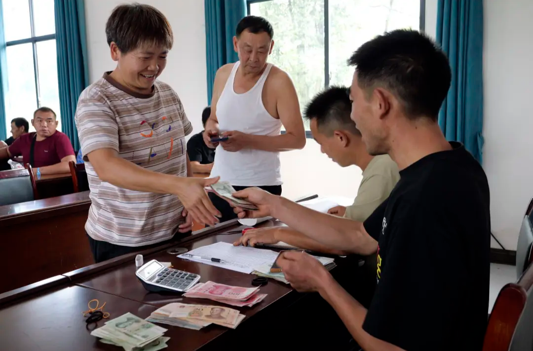 桥自弯镇三和村村民喜领黄蜀葵分红