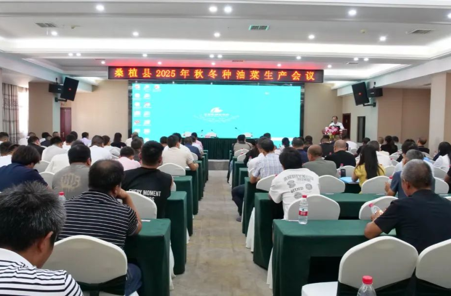 桑植縣召開2025年油菜生產(chǎn)會(huì)議 助力產(chǎn)業(yè)提質(zhì)增效