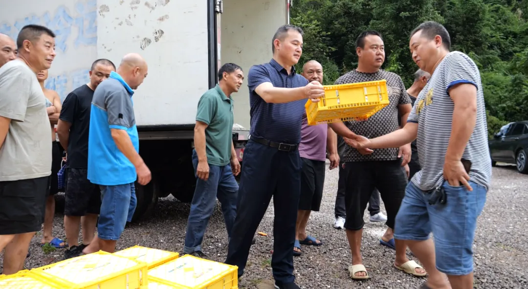 “夏日送清凉” 万斤葡萄甜润室外工作者心田