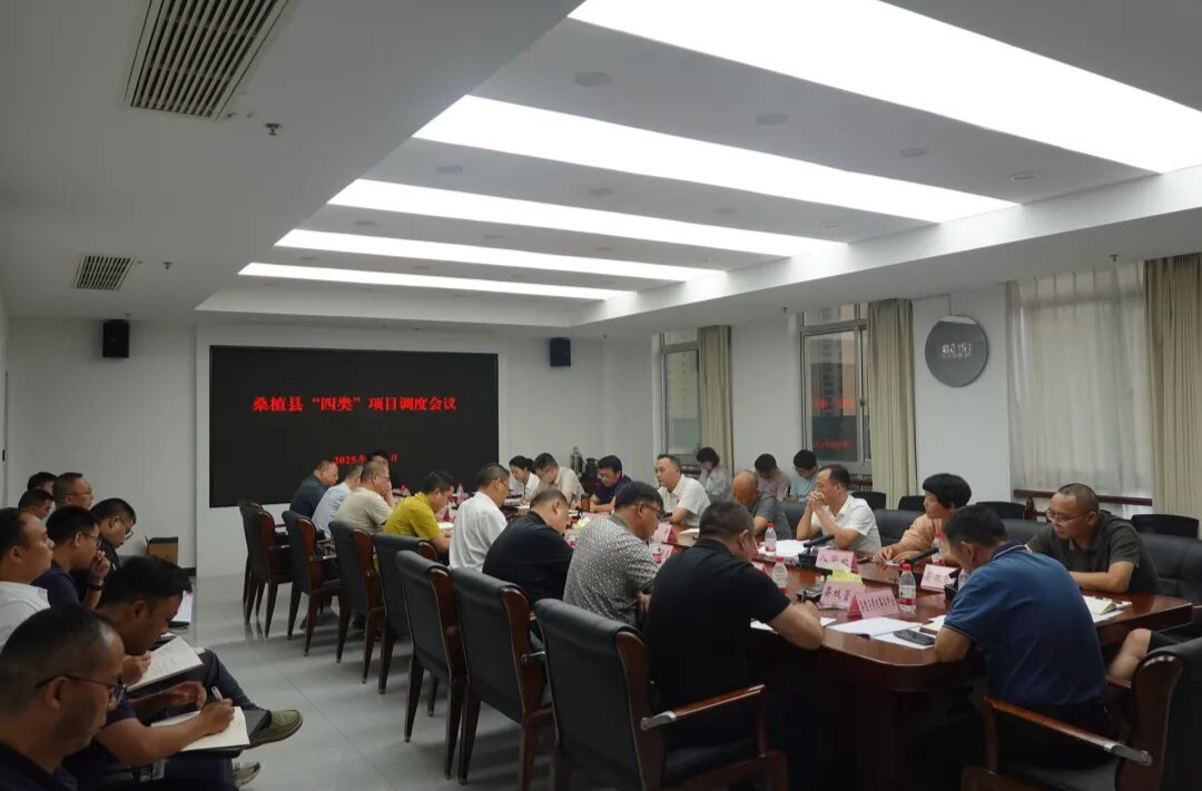 桑植縣召開“四類”項(xiàng)目調(diào)度會(huì)議 部署重點(diǎn)項(xiàng)目推進(jìn)工作