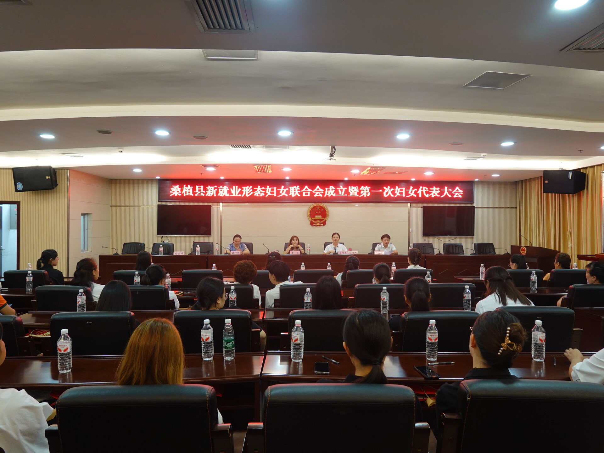 桑植县新就业形态妇女联合会成立