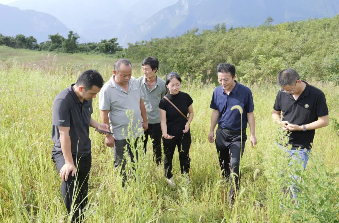 守护地方种质资源 省专家团队为桑植县畜禽保种场升级“开良方”