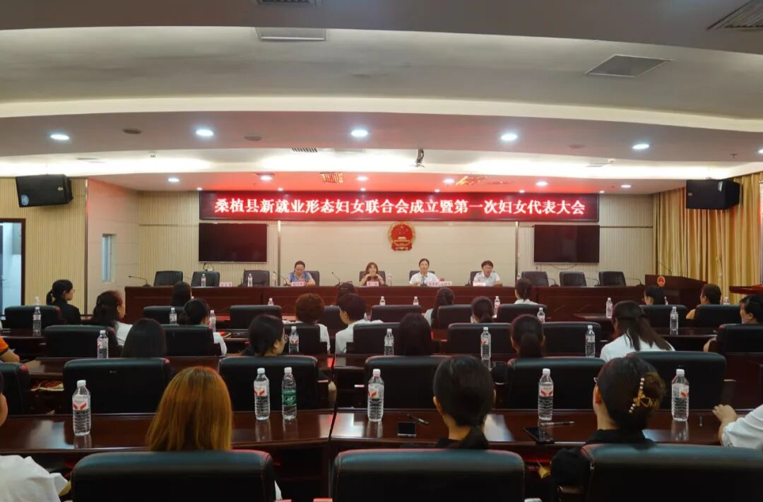 桑植縣新就業(yè)形態(tài)婦女聯(lián)合會(huì)成立