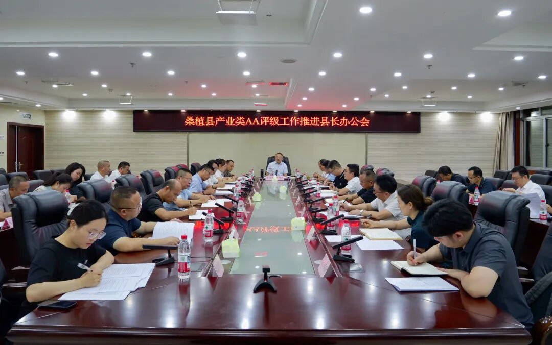 桑植县产业类AA评级工作推进县长办公会召开