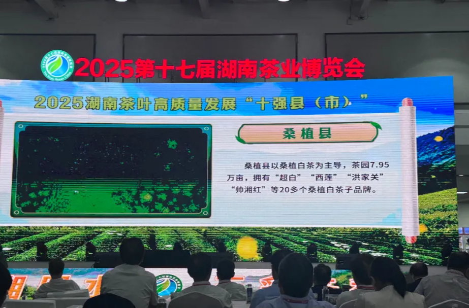 桑植白茶星城飘香 第十七届湖南茶业博览会盛大开幕