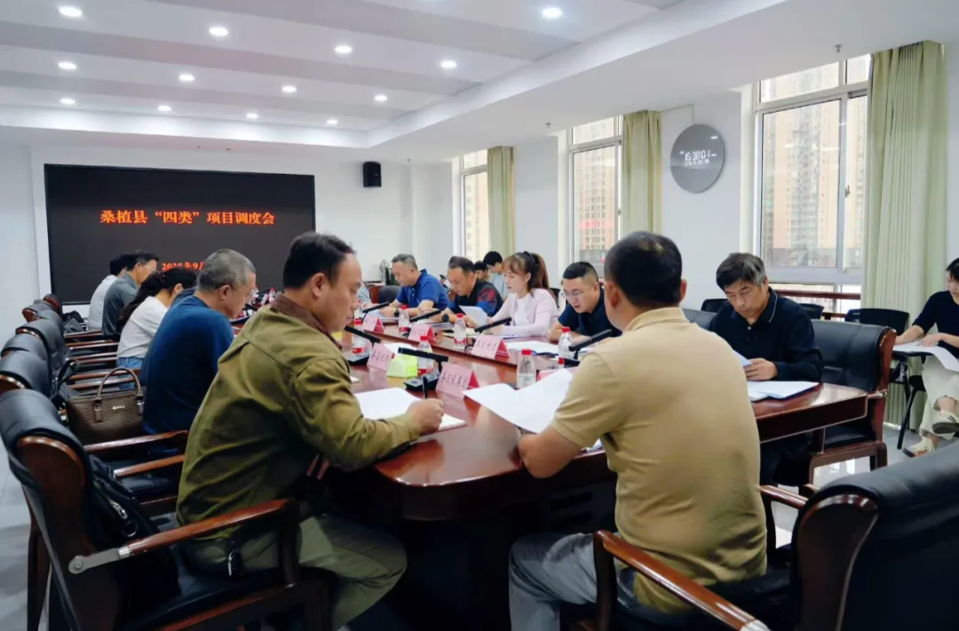 桑植县召开“四类”项目调度会