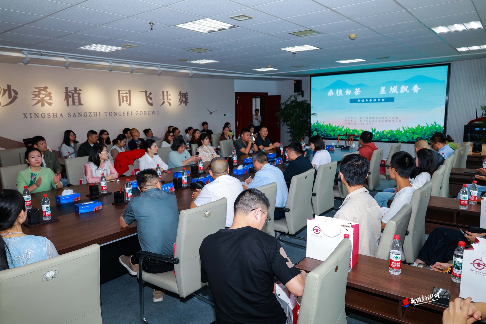 飞地搭台促振兴！“桑植白茶 星城飘香” 技能赋能与产业推介会助力品牌发展