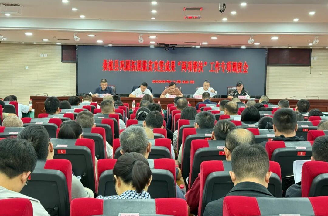 桑植县巩固拓展脱贫攻坚成果“两项帮扶”工作专项调度会召开