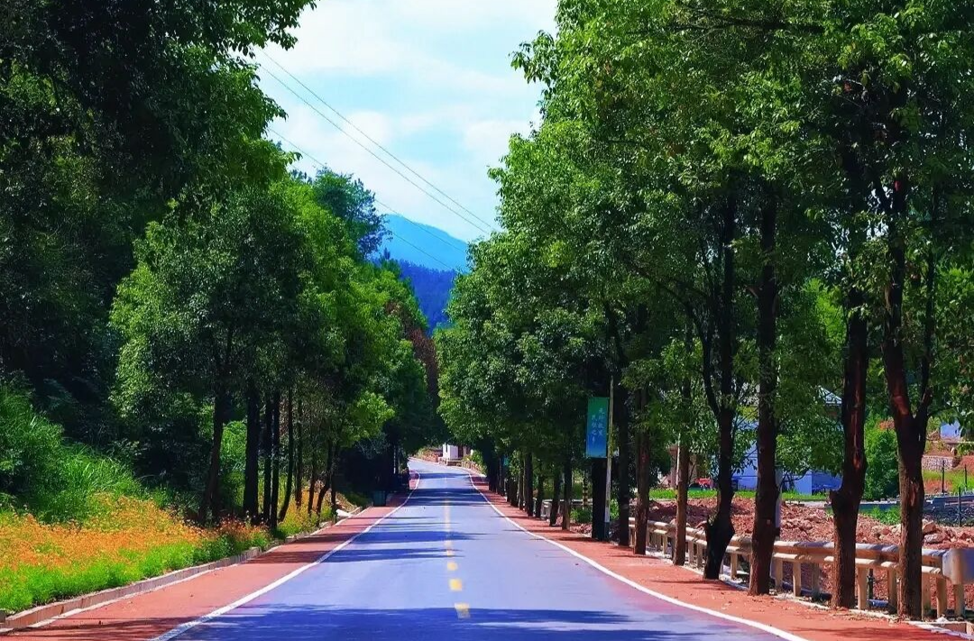 桑植新速度丨刘洪公路激活革命老区新活力