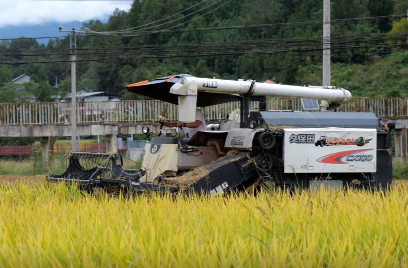 秋收好“丰”景丨机械化端稳“铁饭碗”