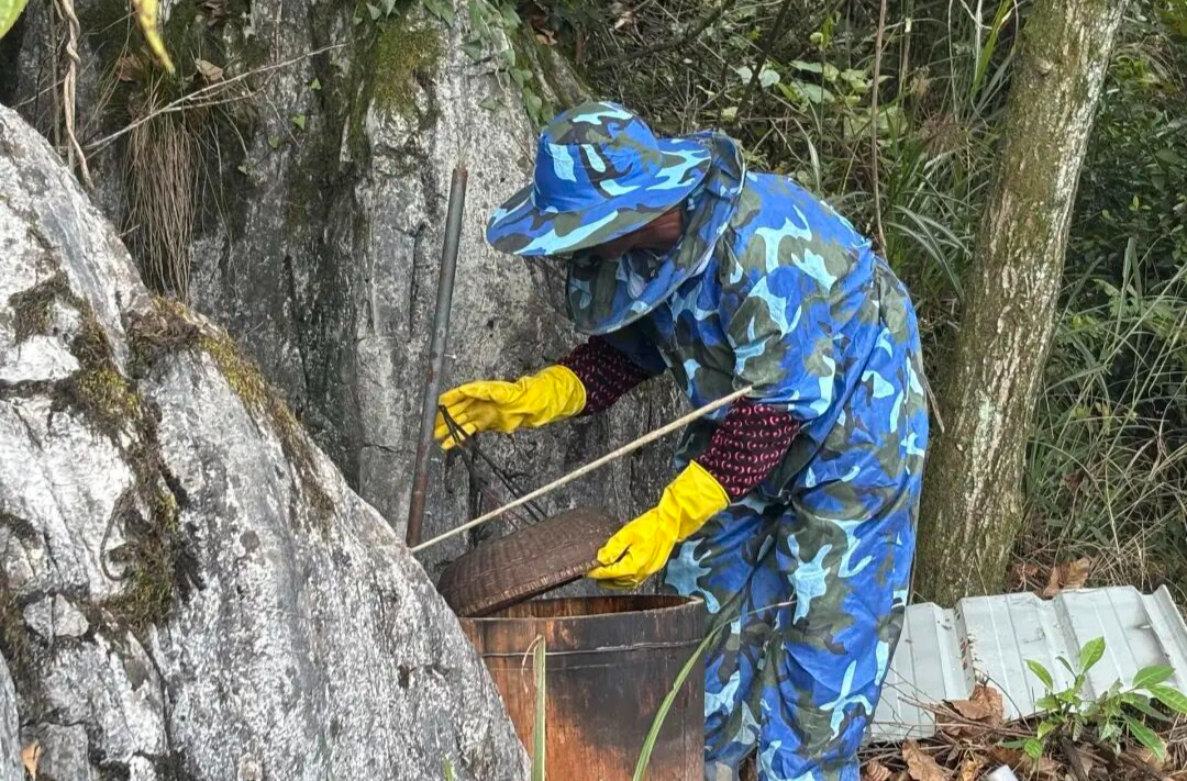 秋收好“丰”景丨守护一份“甜蜜的事业”