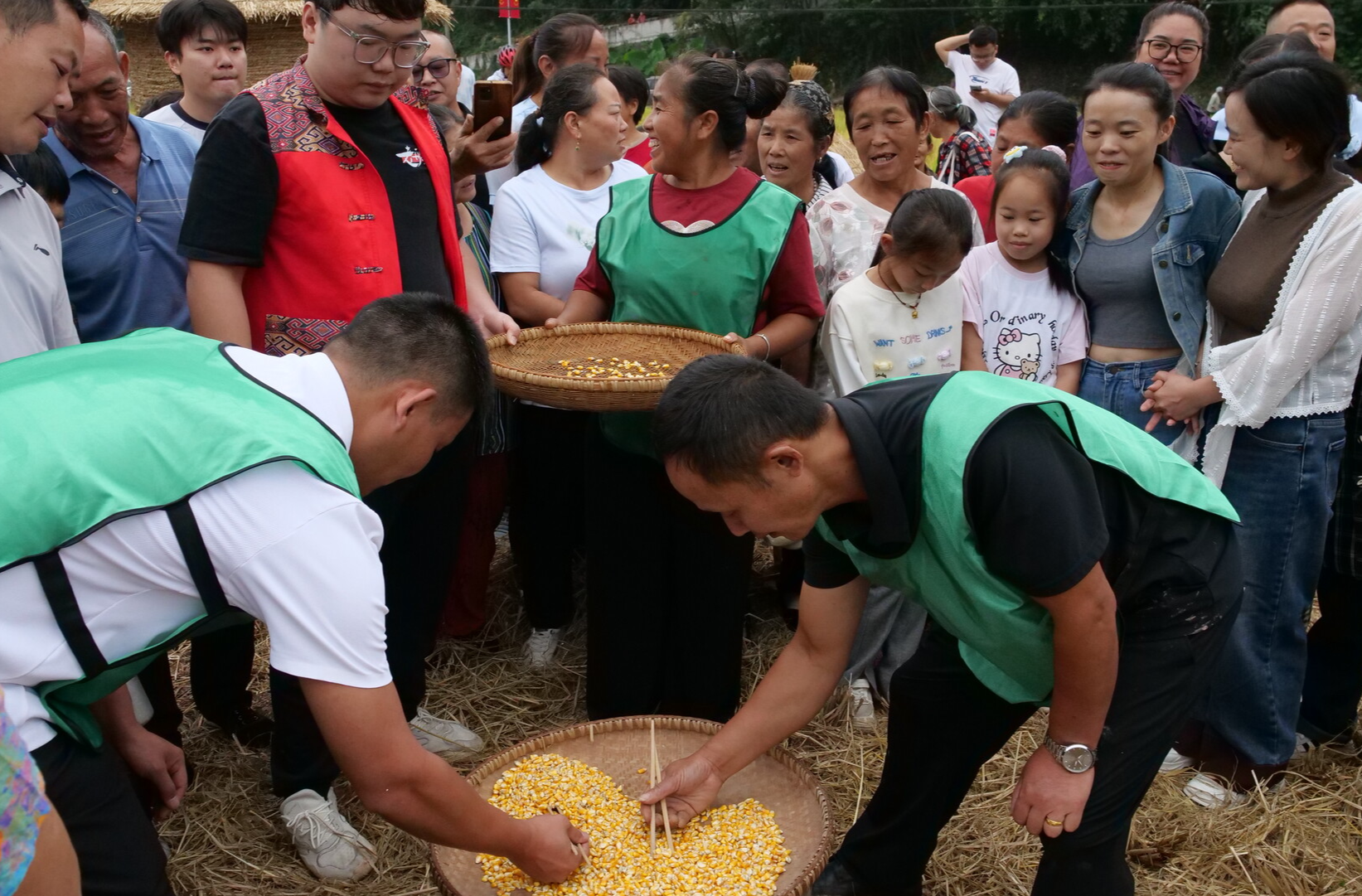 廖家村镇：稻花香里谋发展 丰收景中促振兴