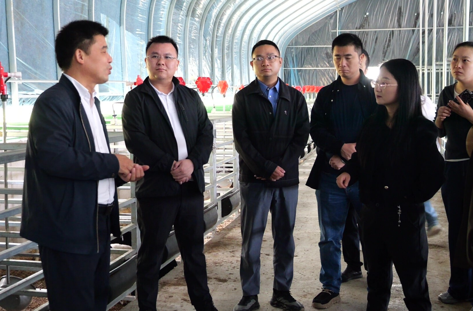 农业专家来桑“把脉问诊” 精准赋能乡村产业振兴