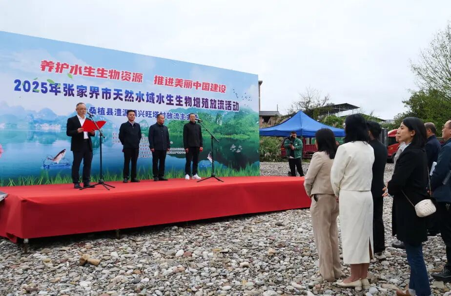 守护母亲河！180万尾“新居民”安家澧水