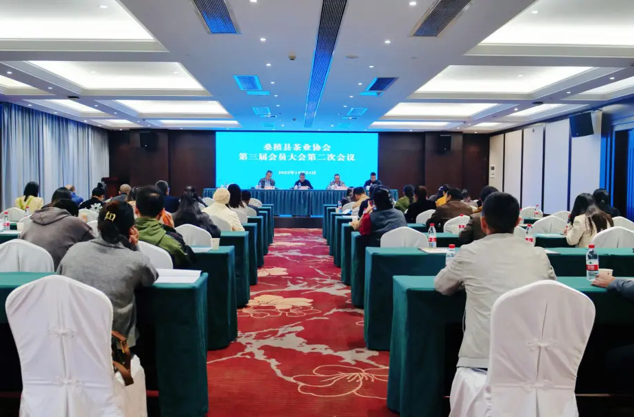 凝合力促升级 桑植白茶产业迈上新台阶