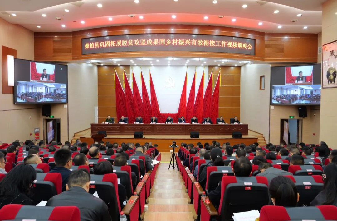 桑植县巩固拓展脱贫攻坚成果同乡村振兴有效衔接工作视频调度会召开
