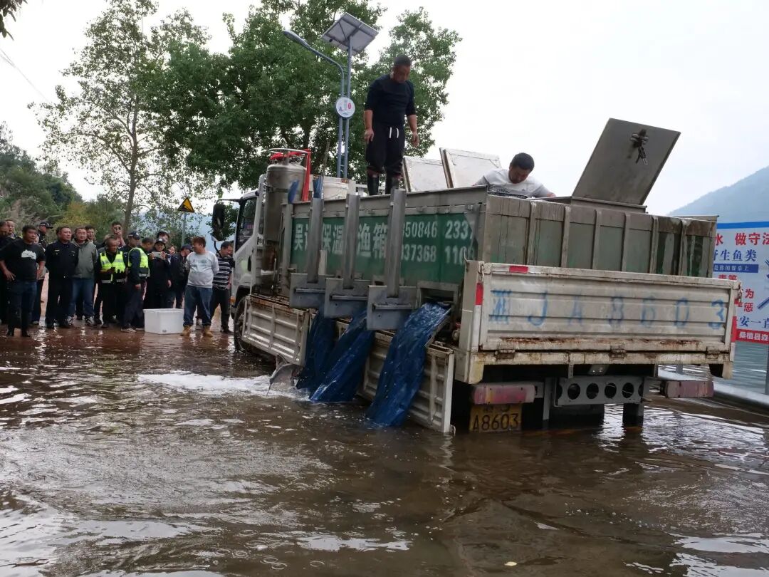 谁破坏，谁修复！桑植县3名非法捕捞者“买单”6万元增殖放流