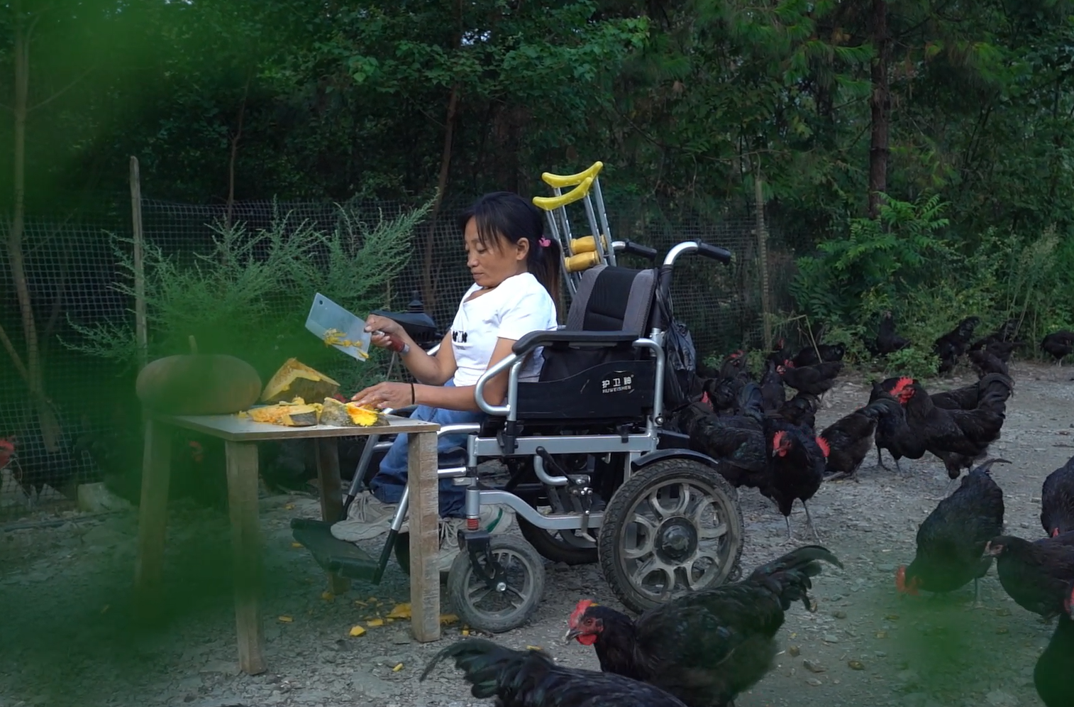 陈云华：“瓷娃娃”的“不碎”人生