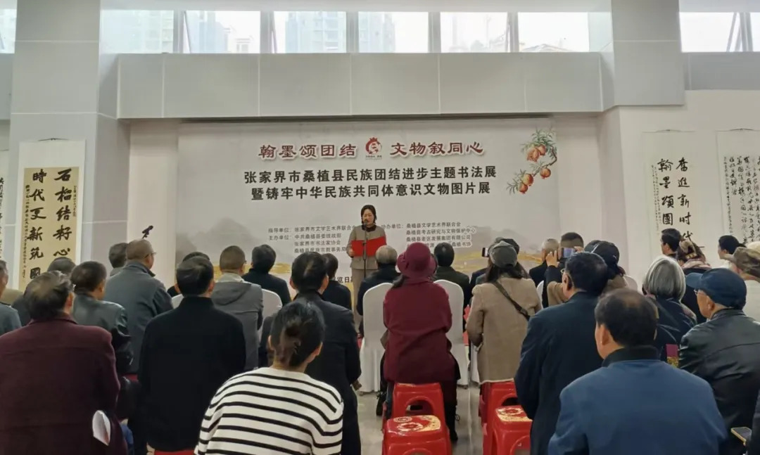 民族团结丨桑植县民族团结进步主题书法展暨铸牢中华民族共同体意识文物图片展开幕
