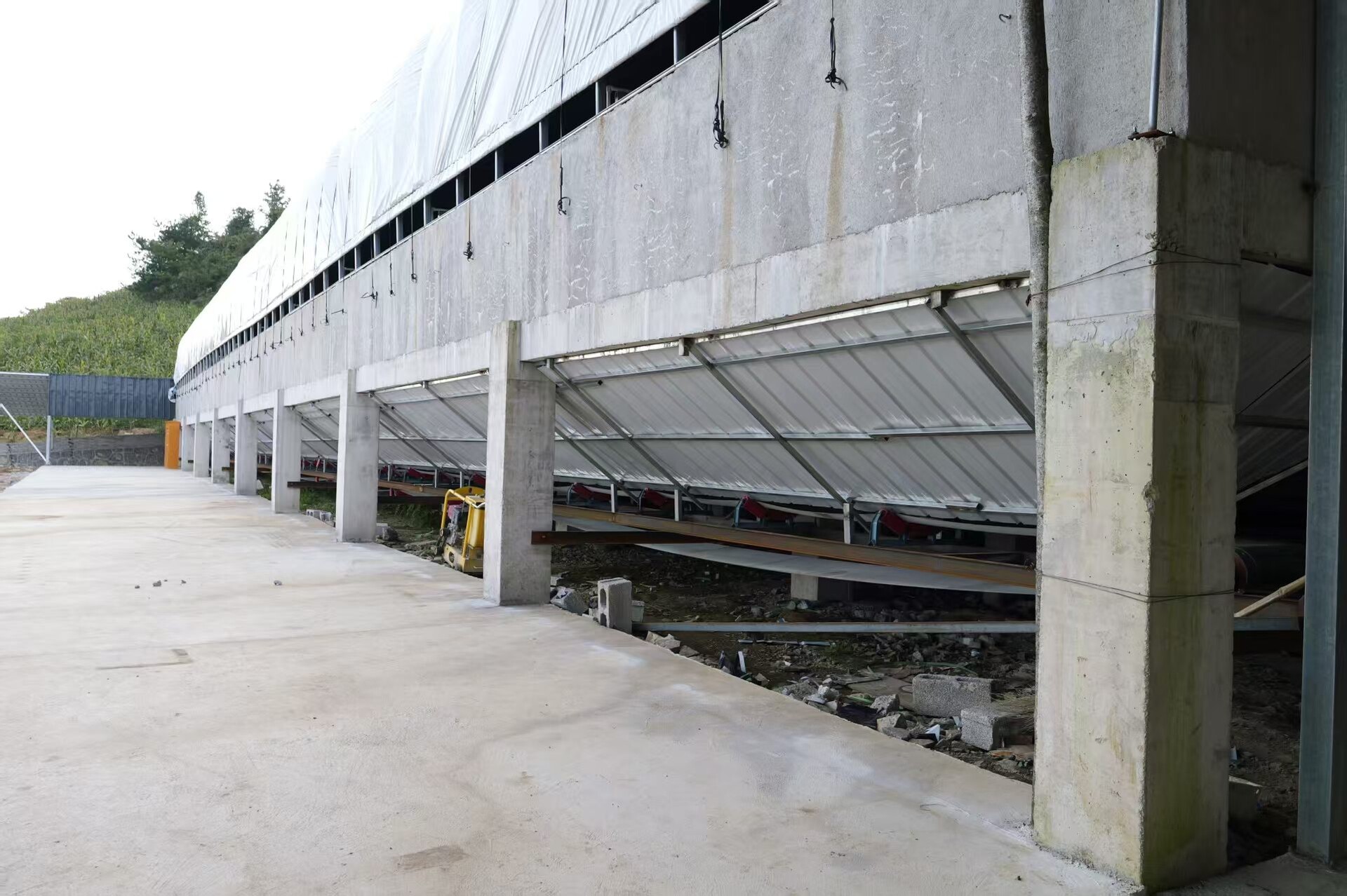 桑植马头山羊跻身国家级畜禽遗传资源保护名录