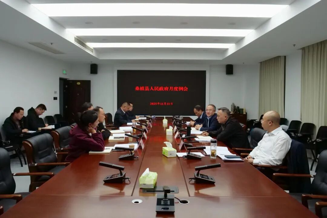 县政府月度例会丨梁高武：加压奋进不松懈  争先创优促发展