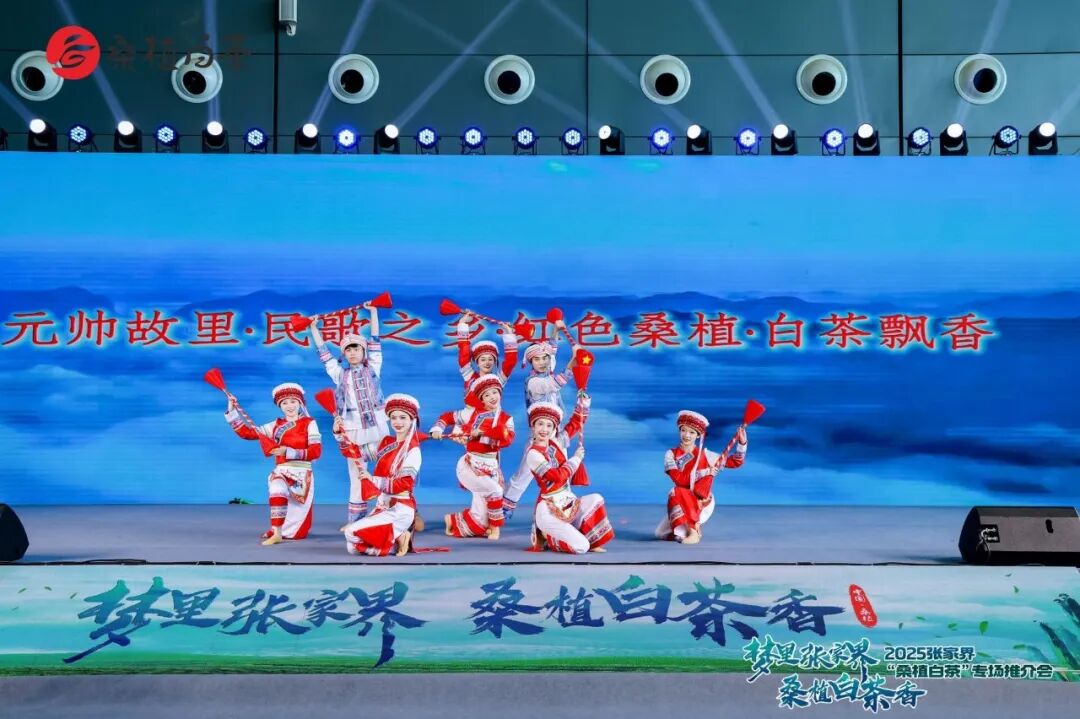 桑植白茶专场推介会在长沙举办 沉浸式艺术盛宴演绎“白茶之梦”