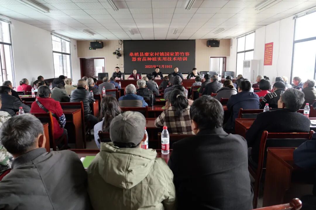 廖家村镇开展国家箬竹容器育苗种植实用技术培训