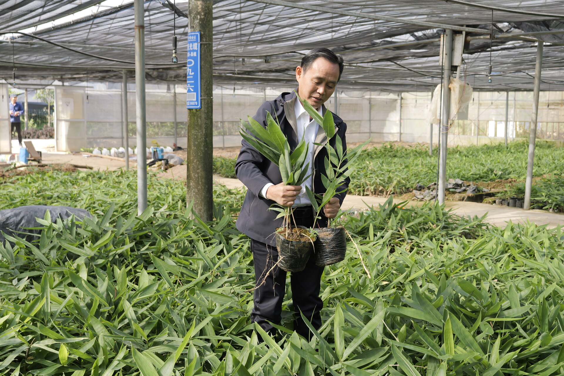 风采依旧丨双贵明：织密产业“共富网” 绘就乡村“振兴图”