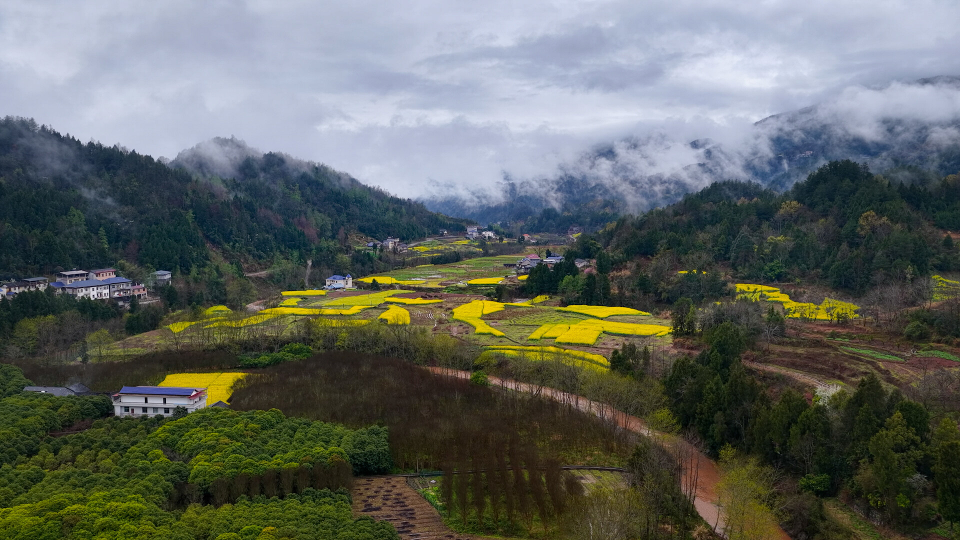 小城别有洞天丨邀您共赏这幅烟雨桑植