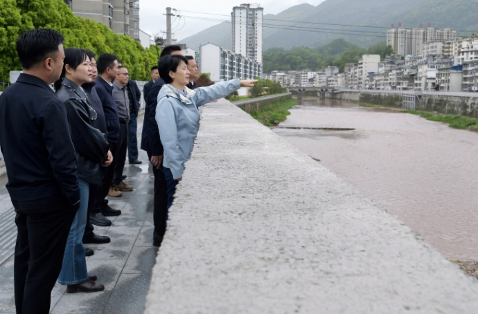 黄瑛带队调研城市防洪及郁水河治理工作