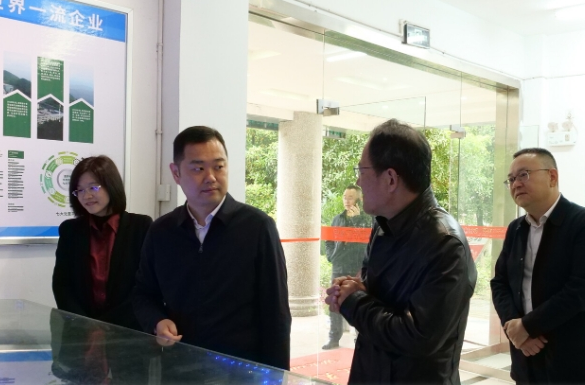 张冲调研全县财税工作：夯实财税根基 赋能高质量发展