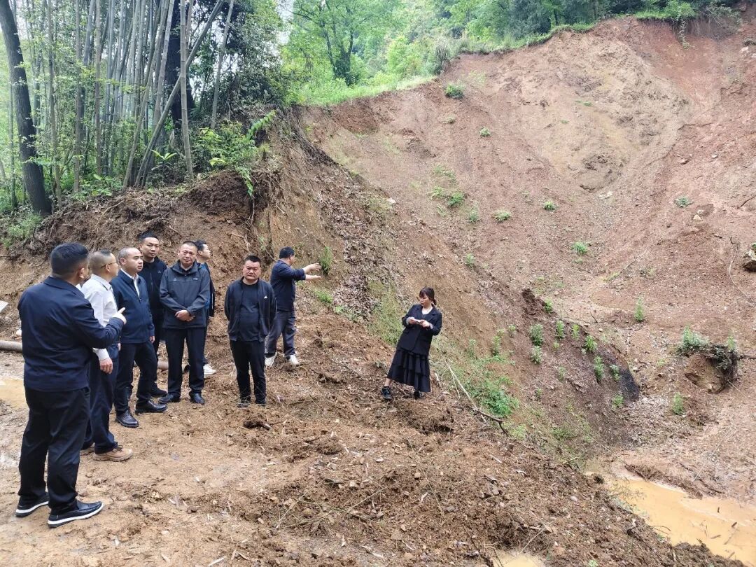 梁猛深入桥自弯镇督导地质灾害治理与校园安全工作