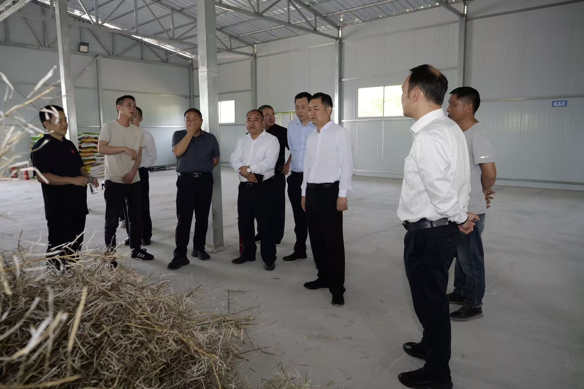 张冲调研大气污染防治工作