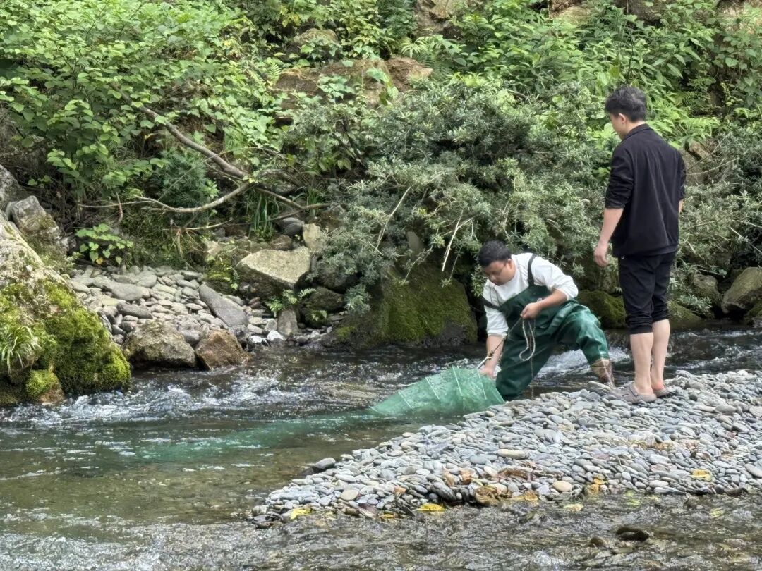 河口乡：全面开展禁捕退捕专项整治行动 以实干守护碧水清流